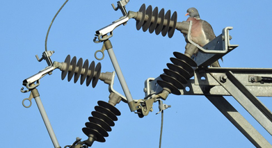 Insulation Material & Insulators Testing