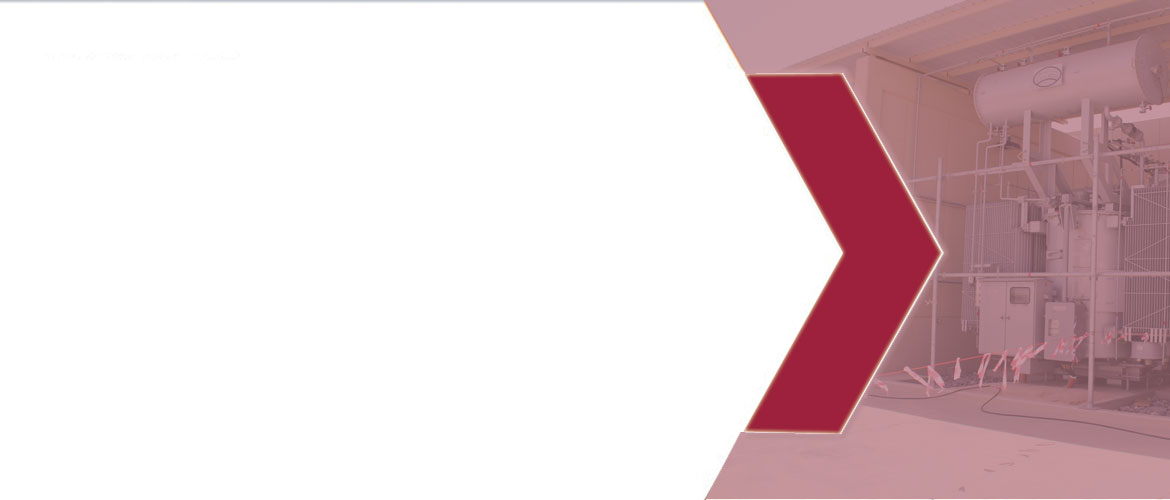 INvertor-generatortesting